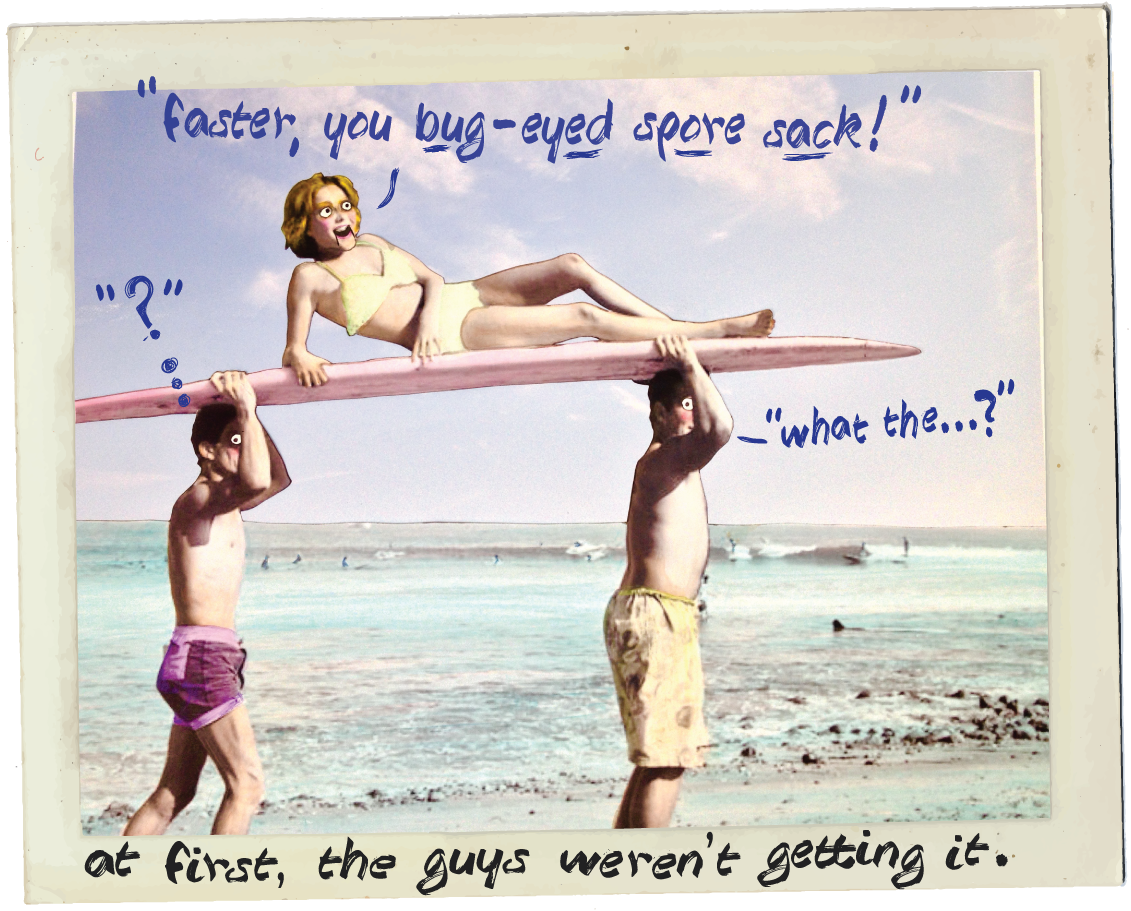 girls beach insultinator fun summer kickstarter insult surf guys 